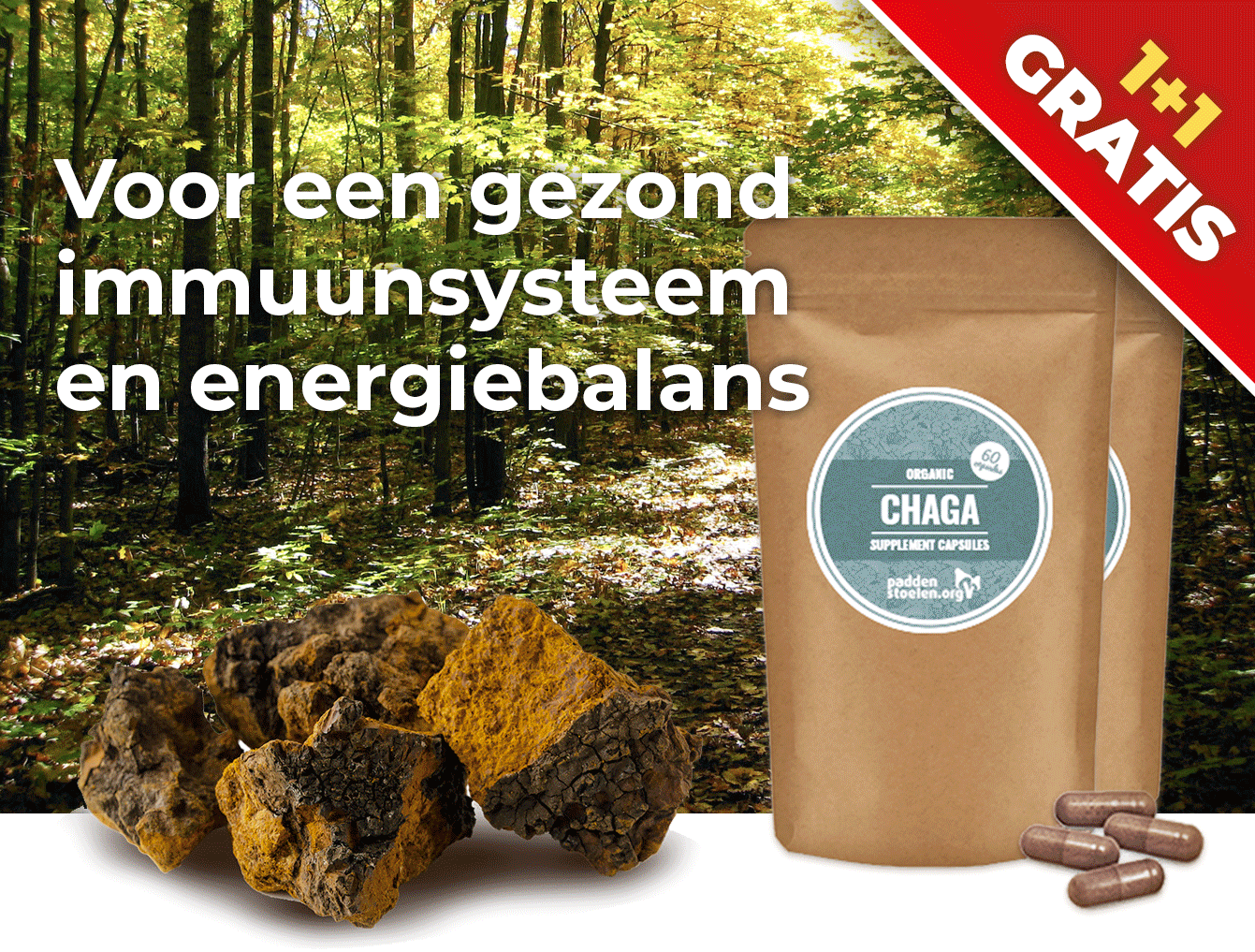 paddenstoelen.nl