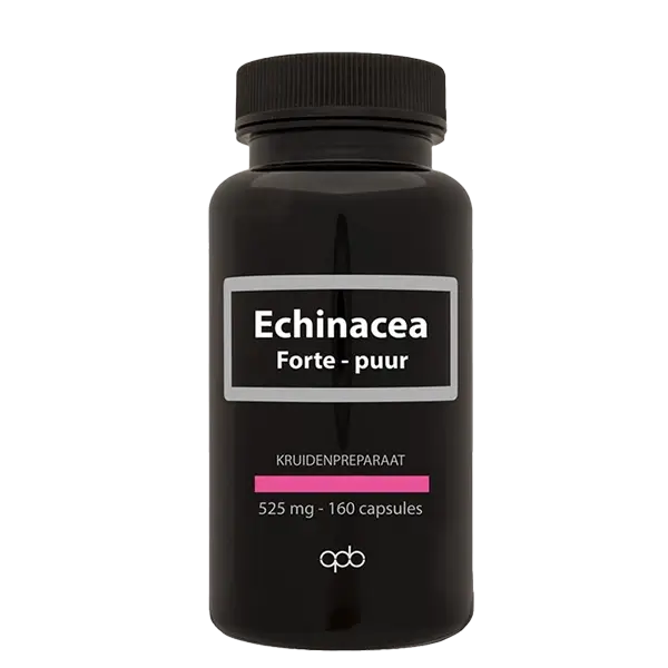 Echinacea forte capsules