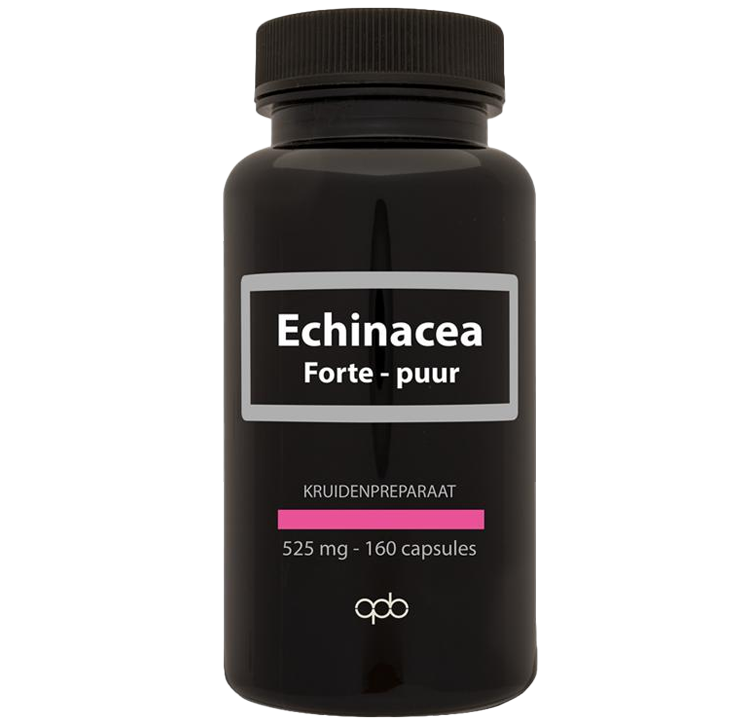 Echinacea forte capsules
