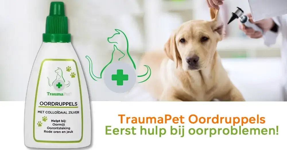 TraumaPet Oordruppels: Natuurlijke Oordruppels voor huisdieren