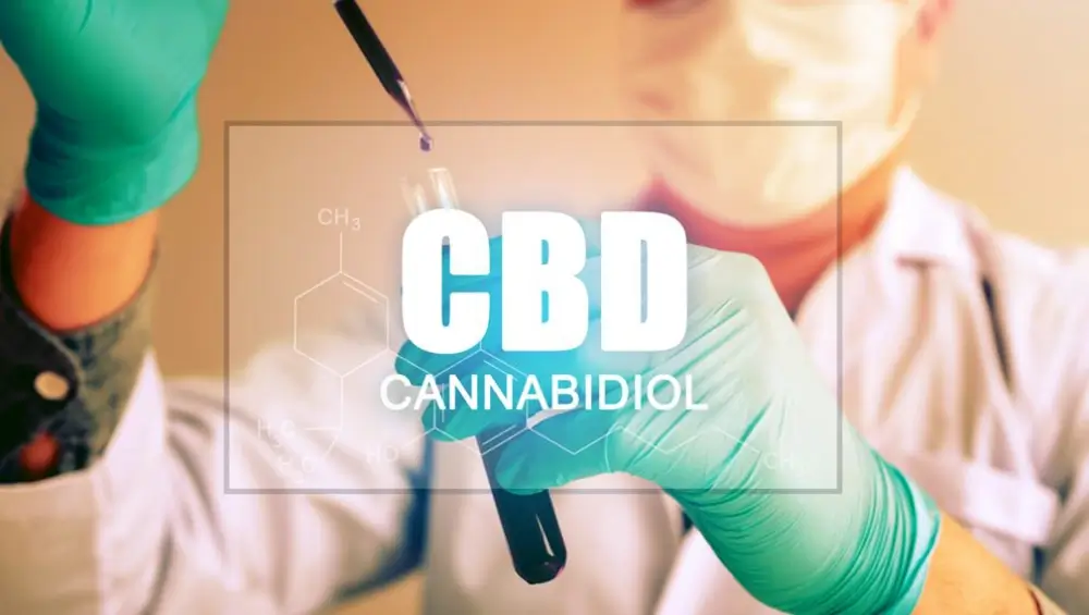 CBD zalf tegen pijn