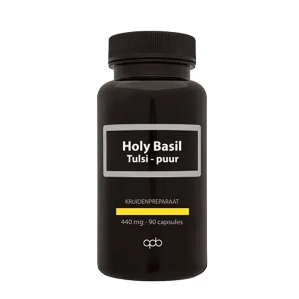 holy basil