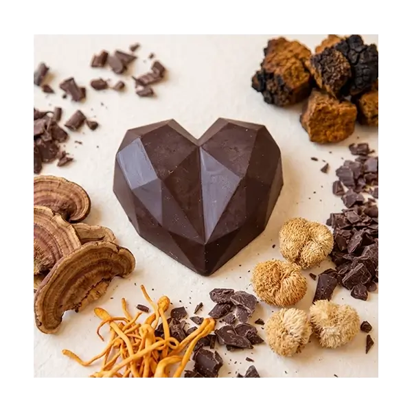 Ceremoniële Cacao van Foodsporen met Lion's Mane, Reishi, Chaga en Cordyceps voor een krachtige en pure cacao-ervaring.