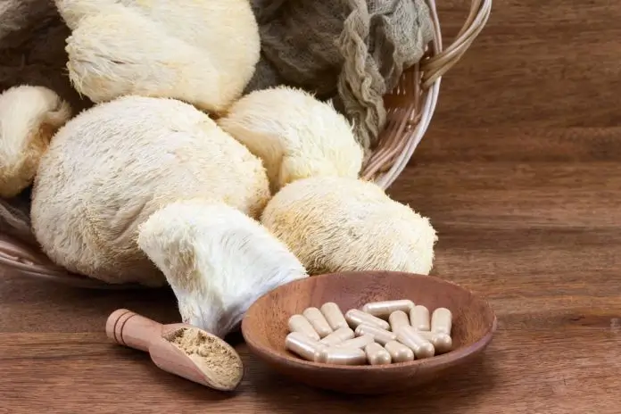 Lion’s Mane supplement als ondersteuning voor mentale helderheid en focus
