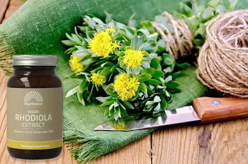 Verpakking Rhodiola rosea extract – adaptogeen kruid voor focus, energie en innerlijke balans
