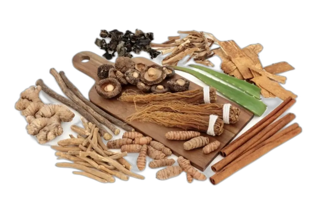 Adaptogenen zoals Ashwagandha en Rhodiola voor natuurlijke stressondersteuning