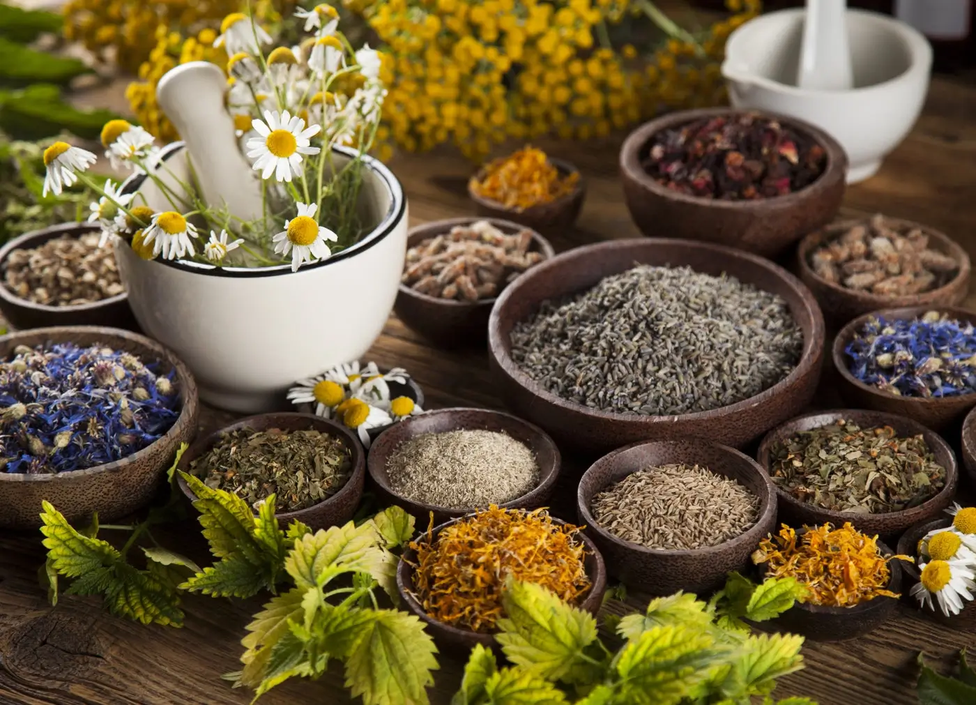 Kruiden en paddenstoelen zoals Maca, Reishi en Shilajit die helpen bij stress, energie en hormonale balans