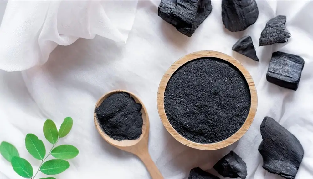 Pure shilajit – krachtig natuurlijk supplement met fulvinezuur en mineralen uit het Himalaya-gebergte
