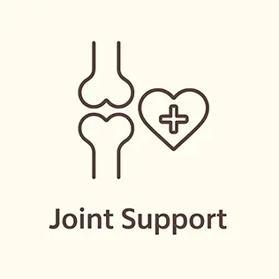 Joint Support icoon