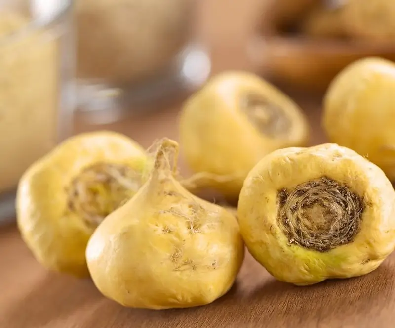 Maca wortel voor hormonale balans en meer energie bij vermoeidheid