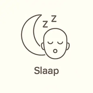 Slaap icoon
