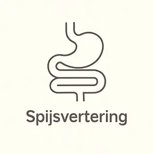 Spijsvertering icoon