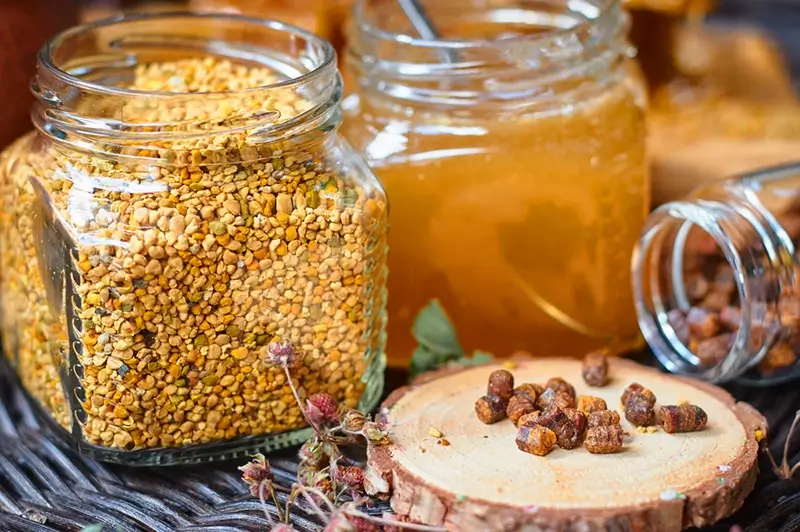 Bijen verzamelen hars van boomknoppen om propolis te maken