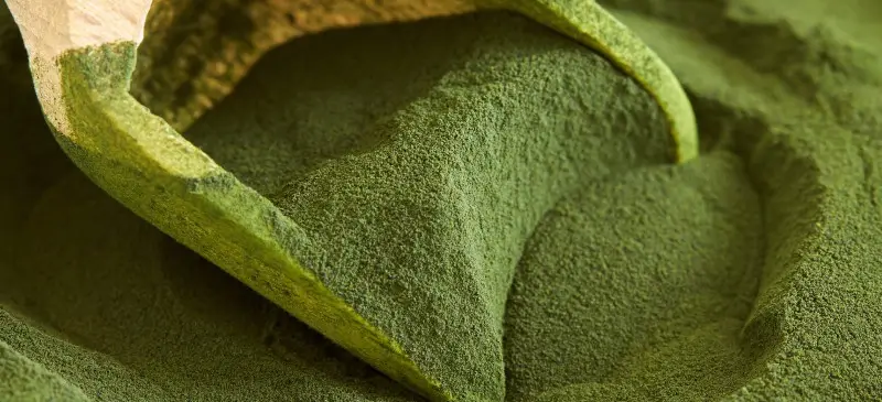 Chlorella en spirulina tabletten bij ontgiften en energie