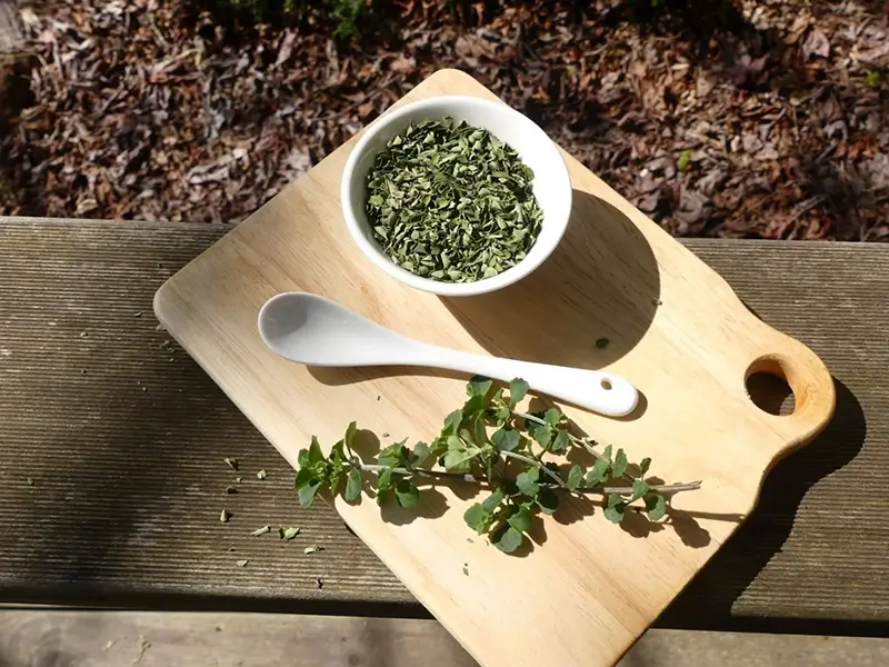 Oregano olie capsules voor dagelijks gebruik