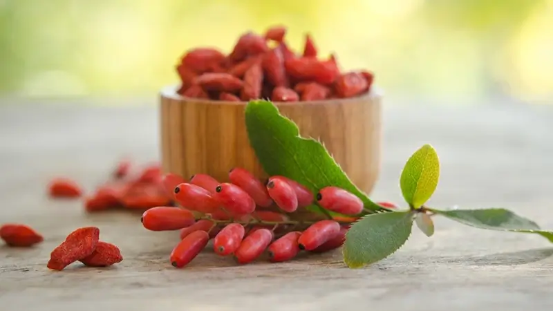 Voedingssupplement met berberine HCL ter ondersteuning van vetstofwisseling