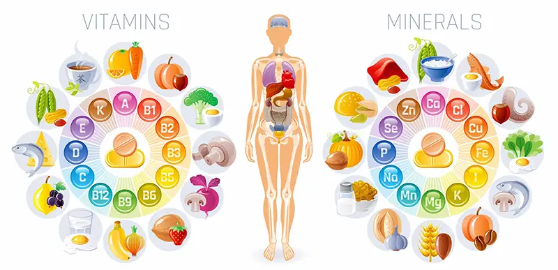 Mineralen te kort voeding