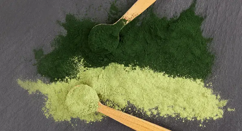 Spirulina of Chlorella kopen bij betrouwbare leverancier