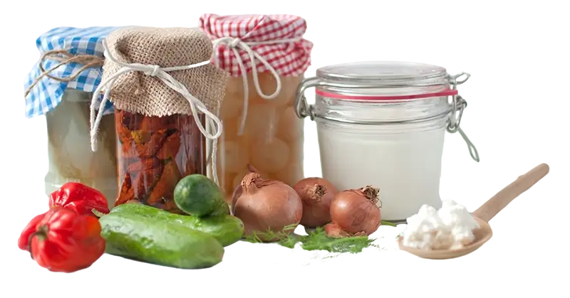 Probiotica darmen en voeding die je darmflora ondersteunt