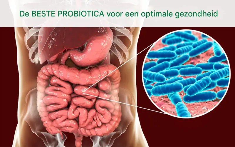 Probiotica - hoe kies je een goed probioticum