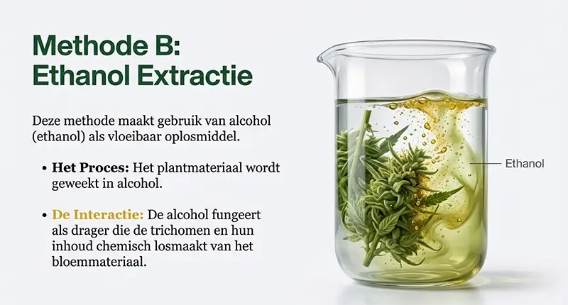 Ethanolextractie uitgelegd (alcohol methode)