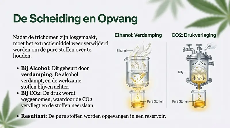 Scheiding en opvang van het extract na extractie