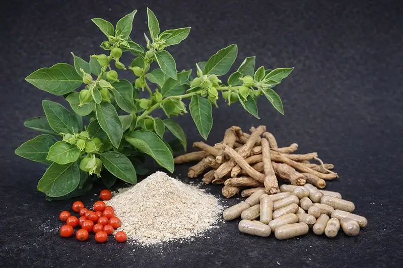 Ashwagandha KSM-66 beste merk
