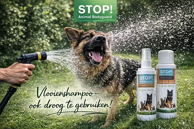 Natuurlijk vlooienmiddel shampoo