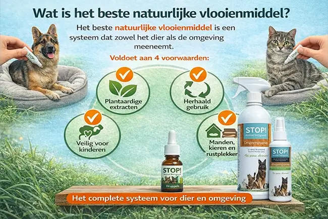 Wat is het beste natuurlijke vlooienmiddel