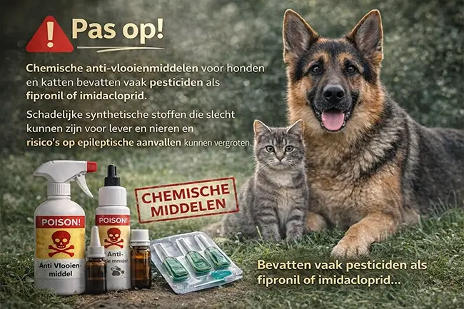 gevaren chemische middelen honden en katten