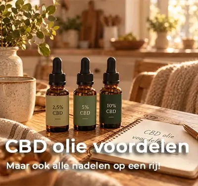 BLOG FOTO