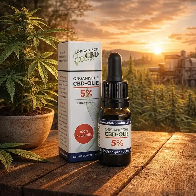 flesje CBD olie naast een groene cannabisplant op een lichte achtergrond_