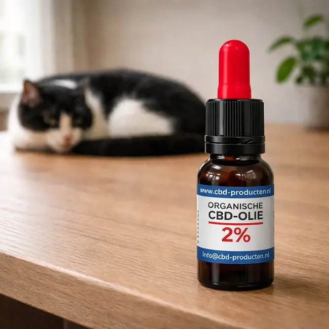 Flesje CBD olie 2% naast een ontspannen kat op een houten tafel