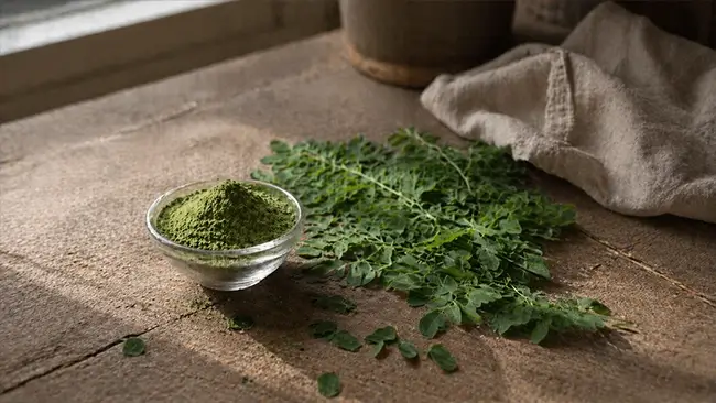 biologische moringa poeder uit gedroogde groene bladeren van de moringa oleifera