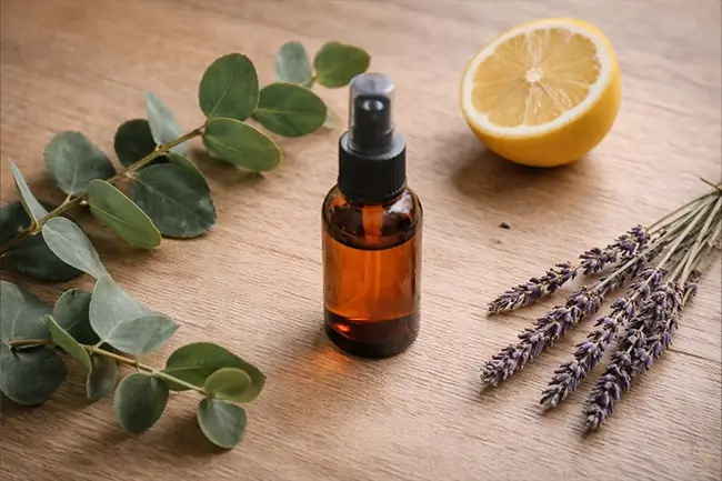 Natuurlijke bescherming met citronella en eucalyptus tegen muggen. Zonder DEET