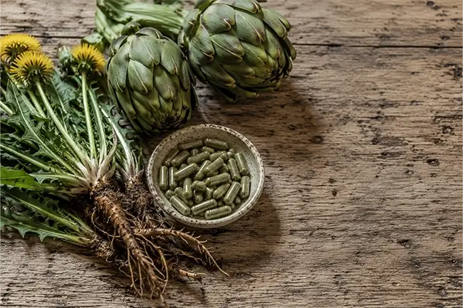 Verse paardenbloem en artisjok als natuurlijke lever-ondersteuning