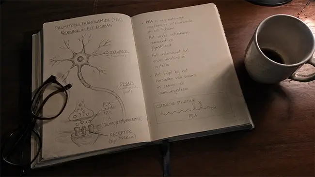Schematische weergave palmitoylethanolamide en zenuwcellen