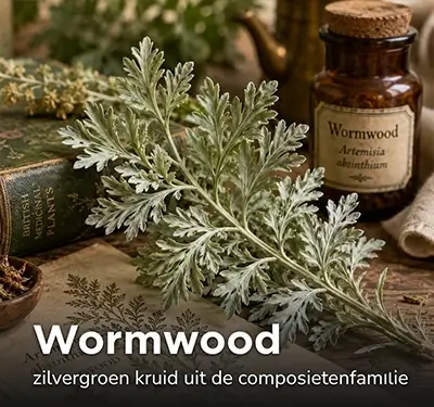 Foto 4 – blogafbeelding voor blogoverzicht