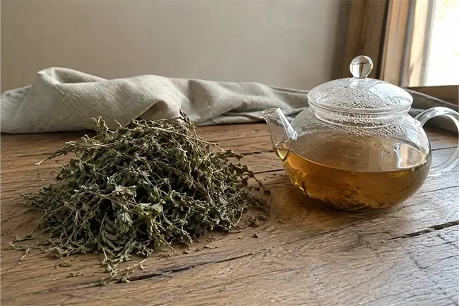 Gedroogd wormwood alsemkruid klaar voor thee op een houten tafel