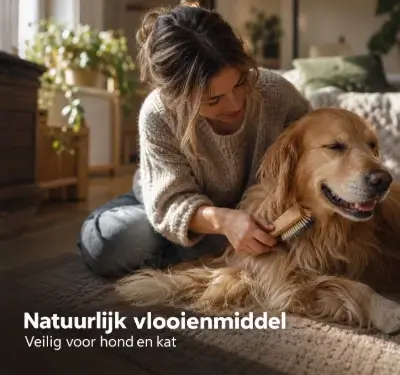 Vrouw borstelt een gouden retriever, natuurlijke verzorging tegen vlooien