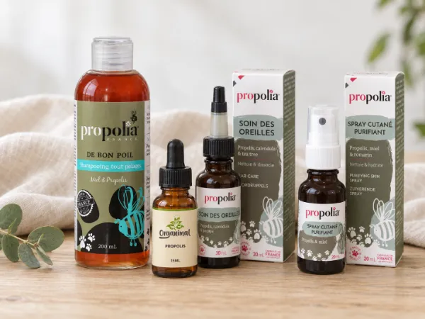 Propolis voor Dieren